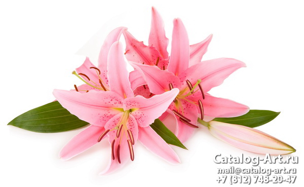 Pink lilies 3